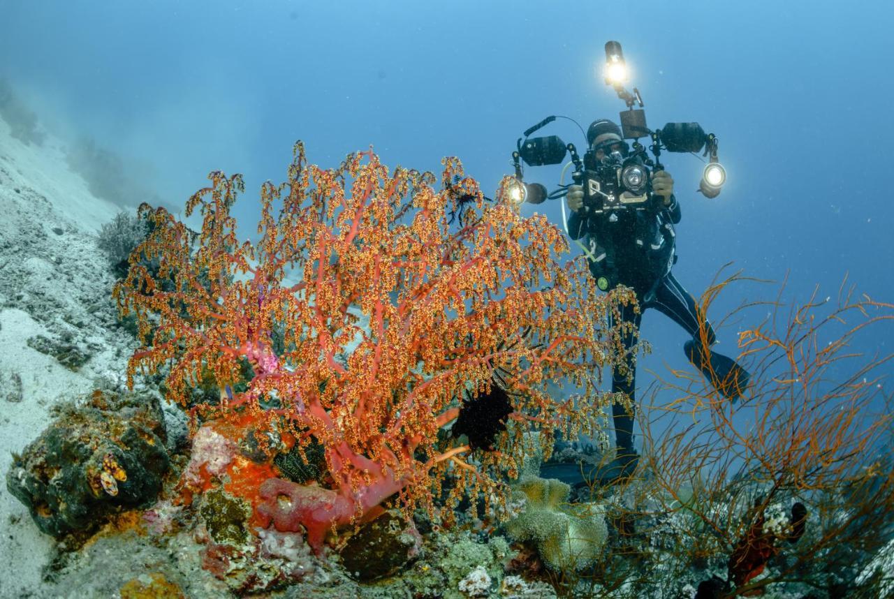 The Three P Beach Resort & Dive Center Agnay Екстериор снимка